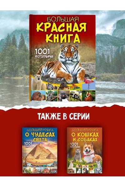 Спектор Анна Артуровна: Большая красная книга. 1001 фотография