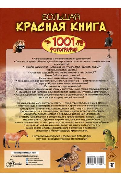 Спектор Анна Артуровна: Большая красная книга. 1001 фотография