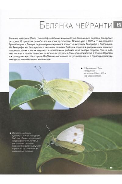 Спектор Анна Артуровна: Большая красная книга. 1001 фотография