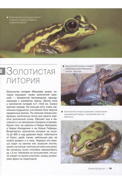 Спектор Анна Артуровна: Большая красная книга. 1001 фотография