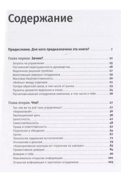 Бирюзовое управление на практике: Опыт российских компаний