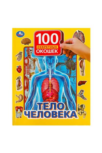 Тело человека