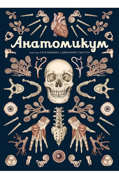 Пакстон Дженнифер, Видеман Кэти: Анатомикум