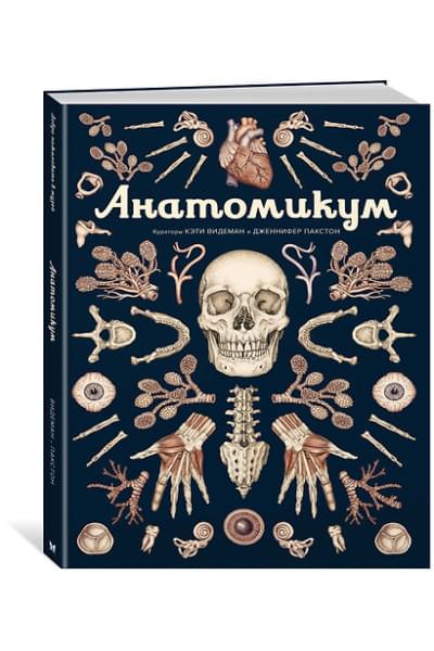 Пакстон Дженнифер, Видеман Кэти: Анатомикум