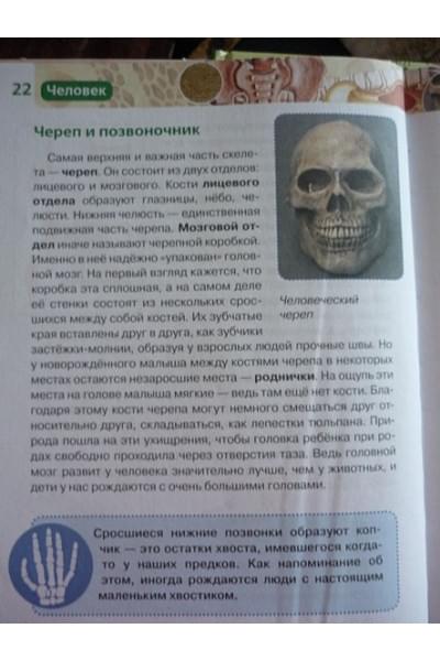 Лукьянов М., Малофеева Н., Сергеева Л. и др.: Человек. Детская энциклопедия РОСМЭН