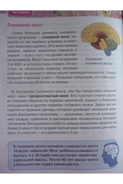 Лукьянов М., Малофеева Н., Сергеева Л. и др.: Человек. Детская энциклопедия РОСМЭН