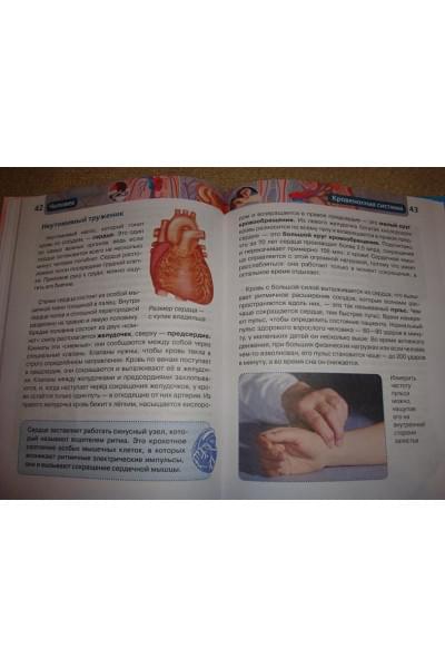 Лукьянов М., Малофеева Н., Сергеева Л. и др.: Человек. Детская энциклопедия РОСМЭН