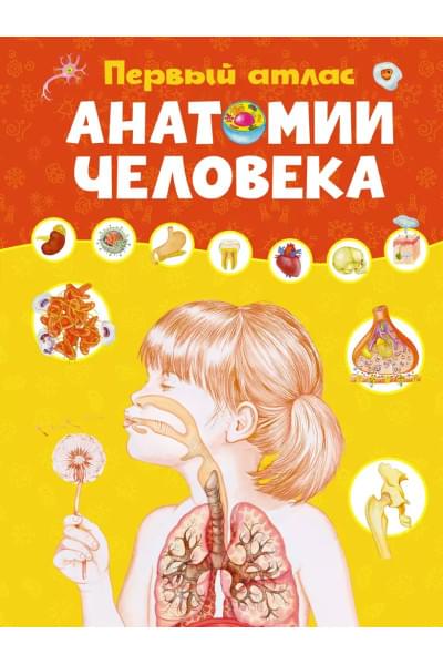 Винченцо Гуиди, Барсотти Элеонора: Первый атлас анатомии человека