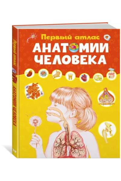 Винченцо Гуиди, Барсотти Элеонора: Первый атлас анатомии человека