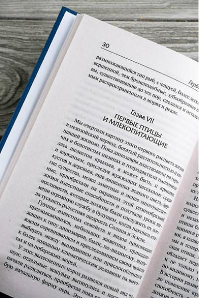 Уэллс Герберт Джордж: История цивилизации