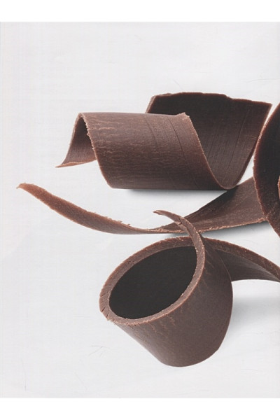 Шоколадный сомелье. Удивительное путешествие в мир шоколада