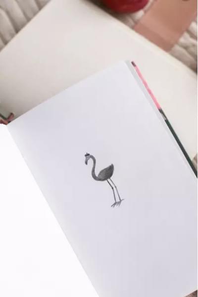 Джентиле Лоренца: Книжный в сердце Парижа