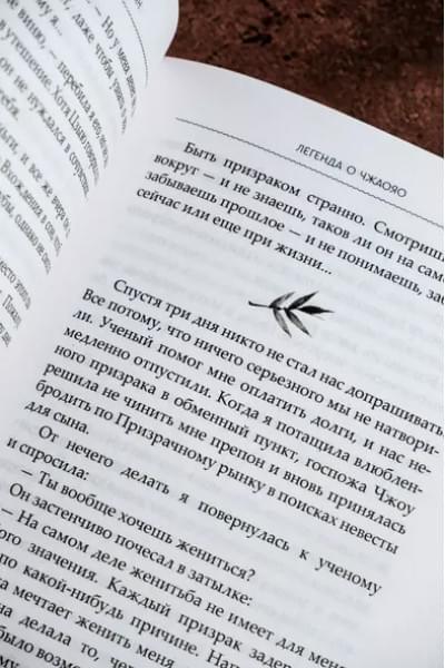 Фэйсян Цзюлу: Легенда о Чжаояо. Книга 2