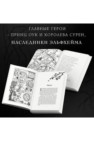 Блэк Холли: Принц Эльфхейма. Украденный наследник (#1)
