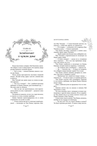 Син Си: Целительница Цзюнь