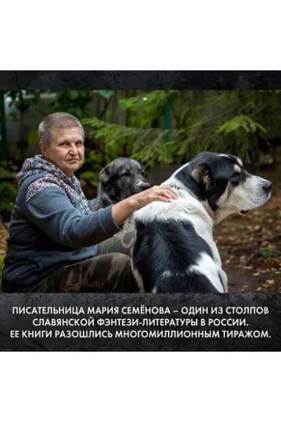 Братья. Книга 3: Завтрашний царь. Том 2: роман