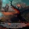 Батчер Джим: Кодекс Алеры. Книга 1. Фурии Кальдерона