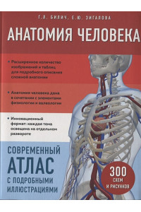 Анатомия человека. Современный атлас с подробными иллюстрациями