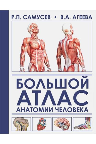 Самусев Рудольф Павлович, Агеева Валентина Анатольевна: Большой атлас анатомии человека