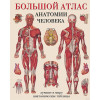Махиянова Евгения Борисовна: Большой атлас анатомии человека