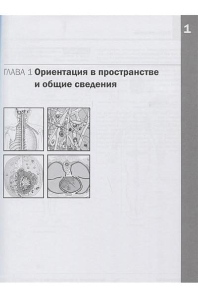 Хансен Джон Т.: Анатомия Неттера: атлас-раскраска