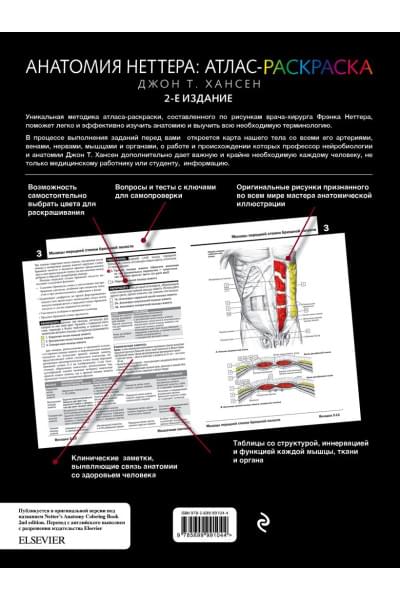 Хансен Джон Т.: Анатомия Неттера: атлас-раскраска