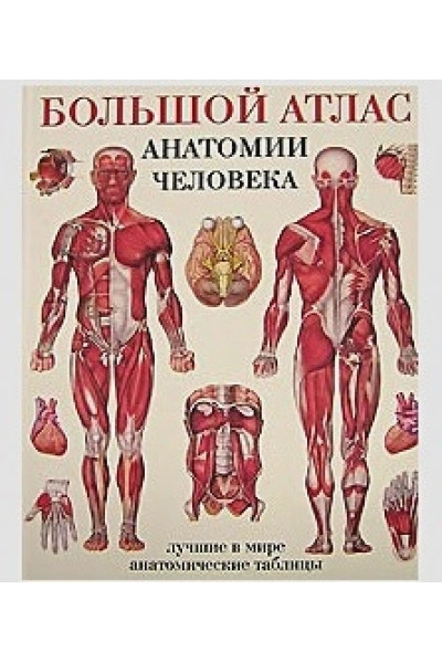 Махиянова Е. (пер.): Большой атлас анатомии человека