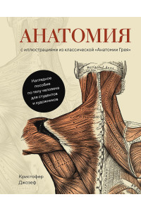 Анатомия (с иллюстрациями из классической «Анатомии Грея»)