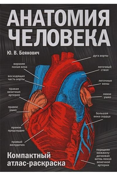 Боянович Юрий Владимирович: Анатомия человека: компактный атлас-раскраска