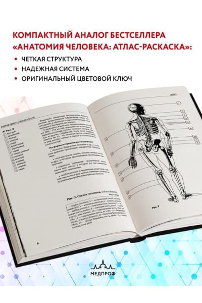 Боянович Юрий Владимирович: Анатомия человека: компактный атлас-раскраска