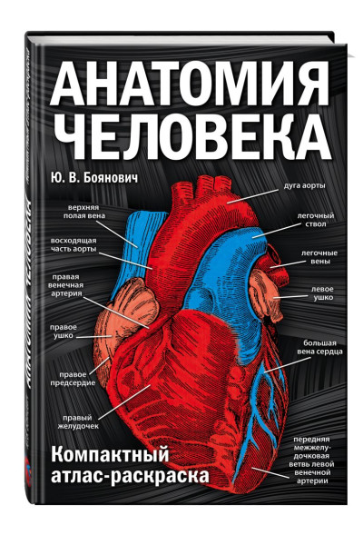 Боянович Юрий Владимирович: Анатомия человека: компактный атлас-раскраска