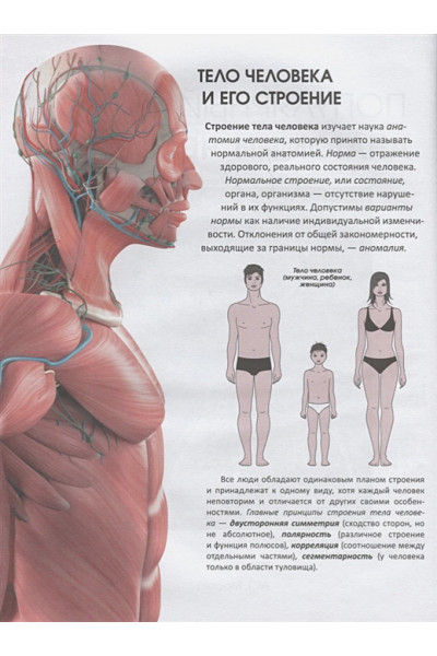 Палычева Любовь Николаевна: Популярный атлас анатомии человека