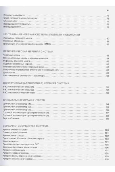 Элсон Лоренс М., Кэпит Уинн: Анатомия человека: атлас-раскраска