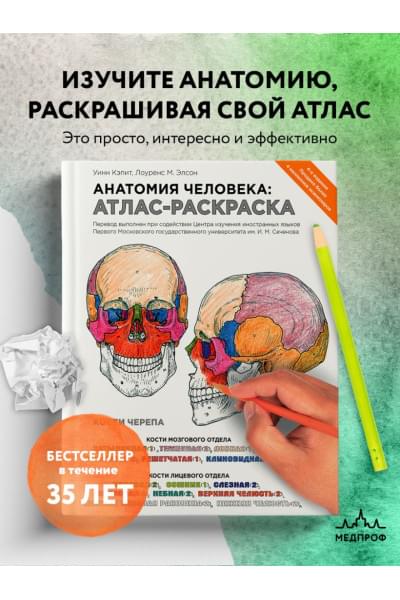 Элсон Лоренс М., Кэпит Уинн: Анатомия человека: атлас-раскраска