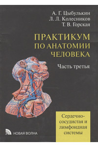 Практикум по анатомии человека: учебное пособие. В четырех частях. Часть третья. Сердечно-сосудистая и лимфоидная системы