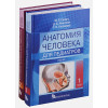 Сапин М., Никитюк Д., Клочкова С.: Анатомия человека для педиатров. Учебник. В двух томах (комплект из 2 книг)