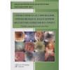 Нечипай А.М.: Справочник классификаций, применяемых в эндоскопии желудочно-кишечного тракта