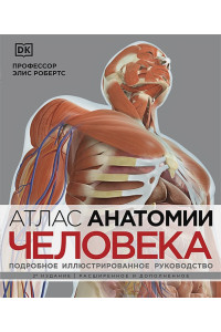 Атлас анатомии человека( DK). Подробное иллюстрированное руководство