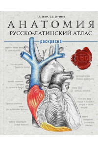Анатомия: русско-латинский атлас-раскраска