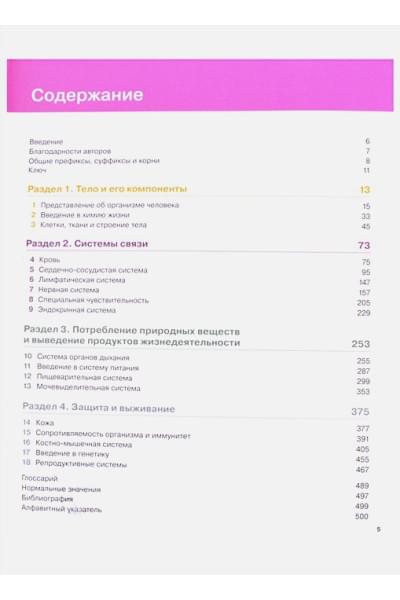 Во Энн, Грант Эллисон: Анатомия и физиология. Нормы и патологии