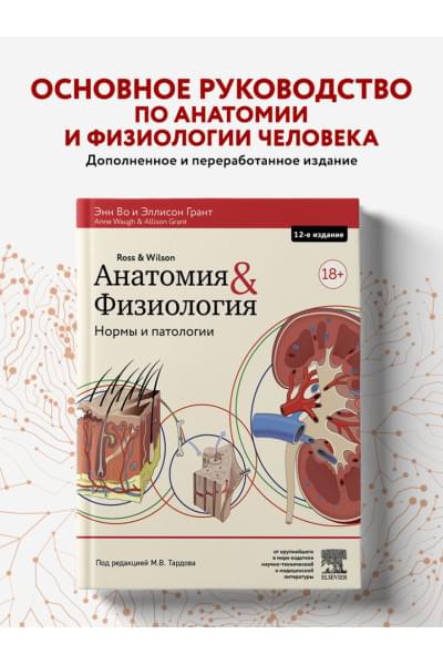 Во Энн, Грант Эллисон: Анатомия и физиология. Нормы и патологии