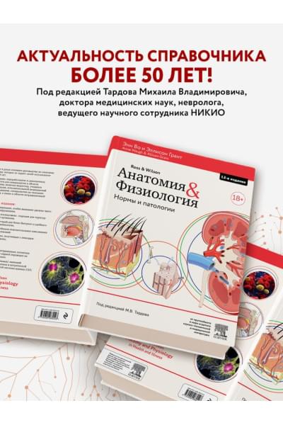 Во Энн, Грант Эллисон: Анатомия и физиология. Нормы и патологии