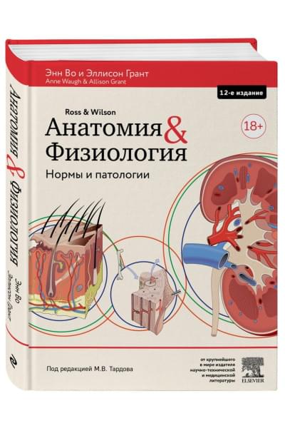 Во Энн, Грант Эллисон: Анатомия и физиология. Нормы и патологии