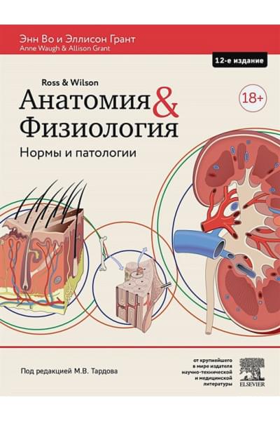 Во Энн, Грант Эллисон: Анатомия и физиология. Нормы и патологии