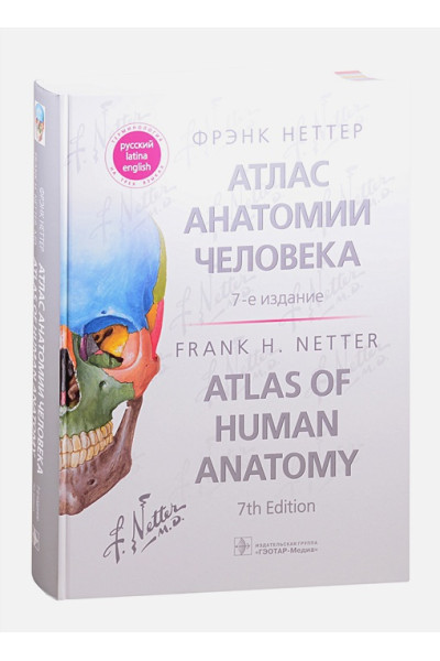 Неттер Ф.: Атлас анатомии человека: терминология на русском, латинском и английском языках