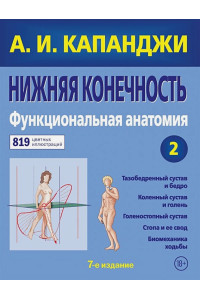 Нижняя конечность: Функциональная анатомия (обновленное издание)