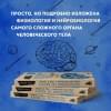 Автостопом по мозгу. Когда вся вселенная у тебя в голове