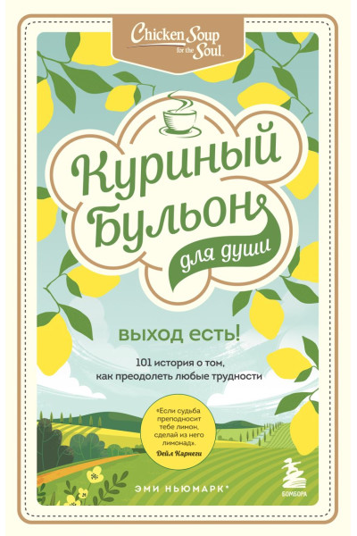 Хансен Марк Виктор, Ньюмарк Эми, Кэнфилд Джек: Куриный бульон для души. Выход есть! 101 история о том, как преодолеть любые трудности