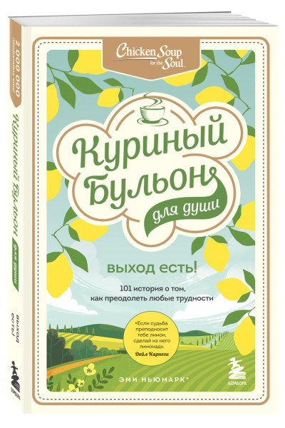 Хансен Марк Виктор, Ньюмарк Эми, Кэнфилд Джек: Куриный бульон для души. Выход есть! 101 история о том, как преодолеть любые трудности