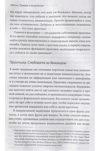 Данг Нгием: Цветы в темноте. Практики, которые помогут исцелиться от травмы и найти опору в себе